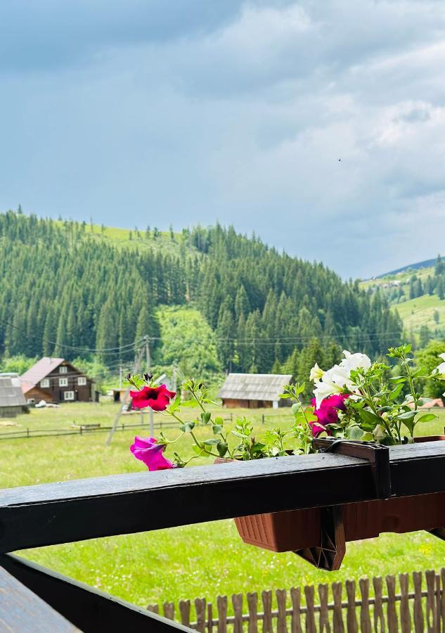 Guest house Lileya Bukovel Extérieur photo