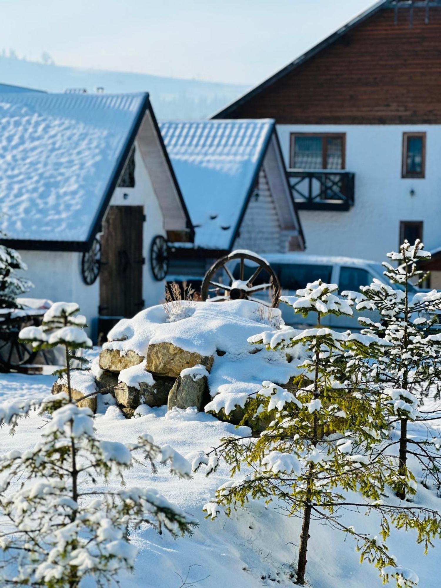 Guest house Lileya Bukovel Extérieur photo